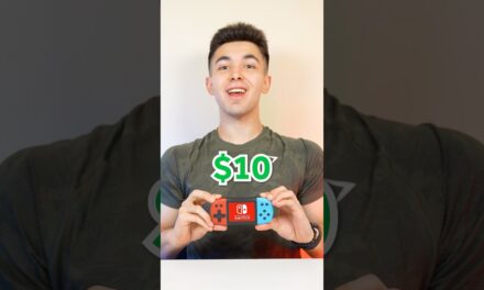 $10 vs $500 Nintendo Switch!